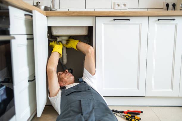 Best Residential Plumbing Services  in Trempealeau, WI