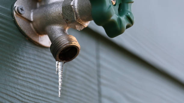 Best Plumbing Repair Near Me  in Trempealeau, WI