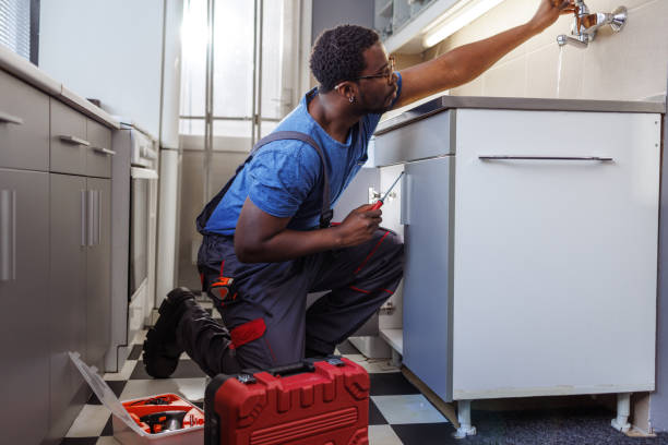Best Best Plumbers Near Me  in Trempealeau, WI