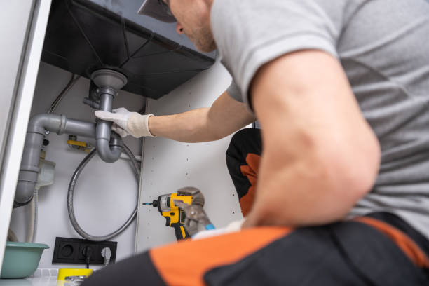 Best Emergency Plumber  in Trempealeau, WI